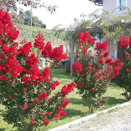 Casa Nalin דירה *