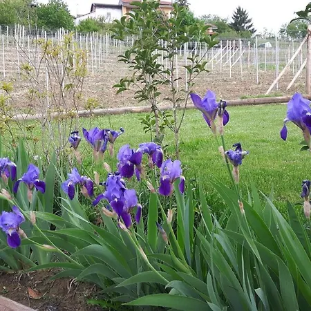 Casa Nalin דירה *