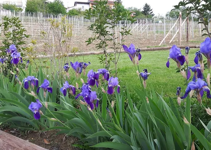 Casa Nalin Apartment *